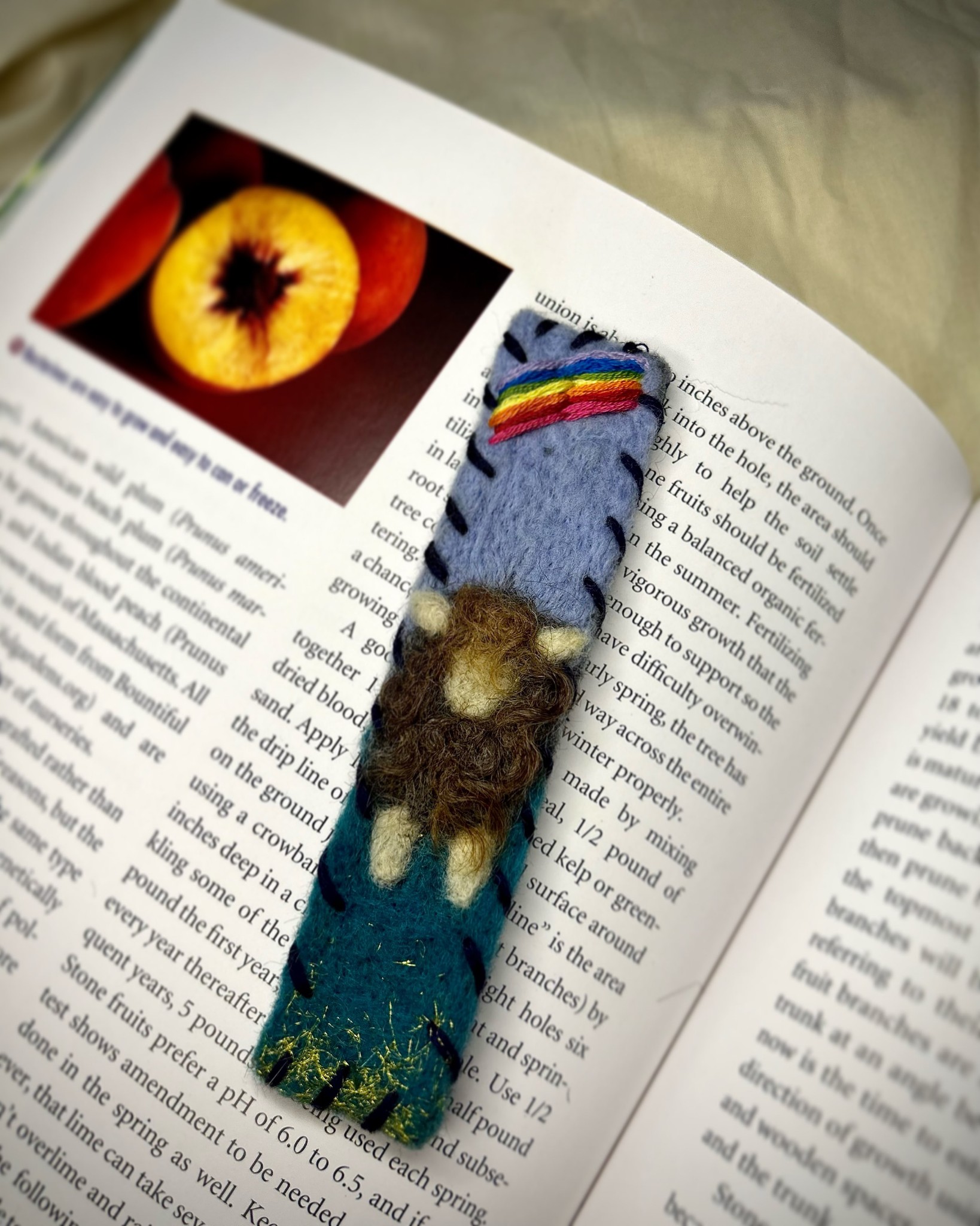 Needle Felted Bookmark Class! | NRV Sheep and Goat Club